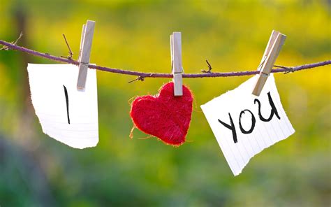 Love you pic images - Browse 178,100+ love you stock photos and images available, or search for i love you or we love you to find more great stock photos and pictures. i love you we love you i …